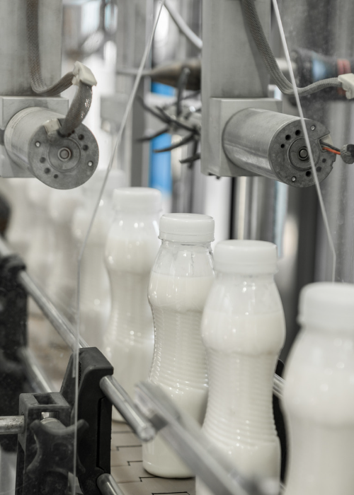Alimentos e Bebidas Alimentos e Bebidas